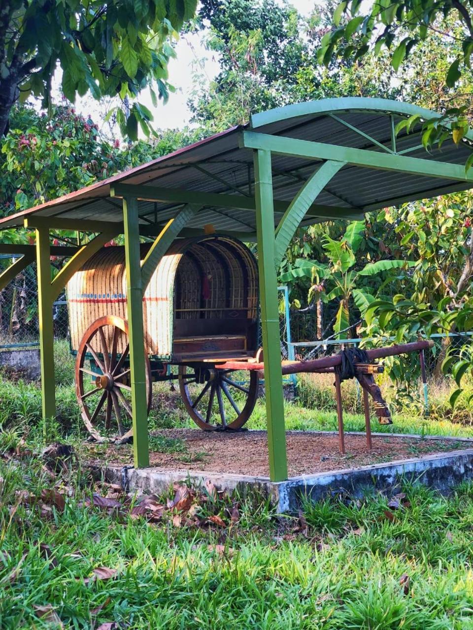 Traditional Villa Munnar Exterior photo